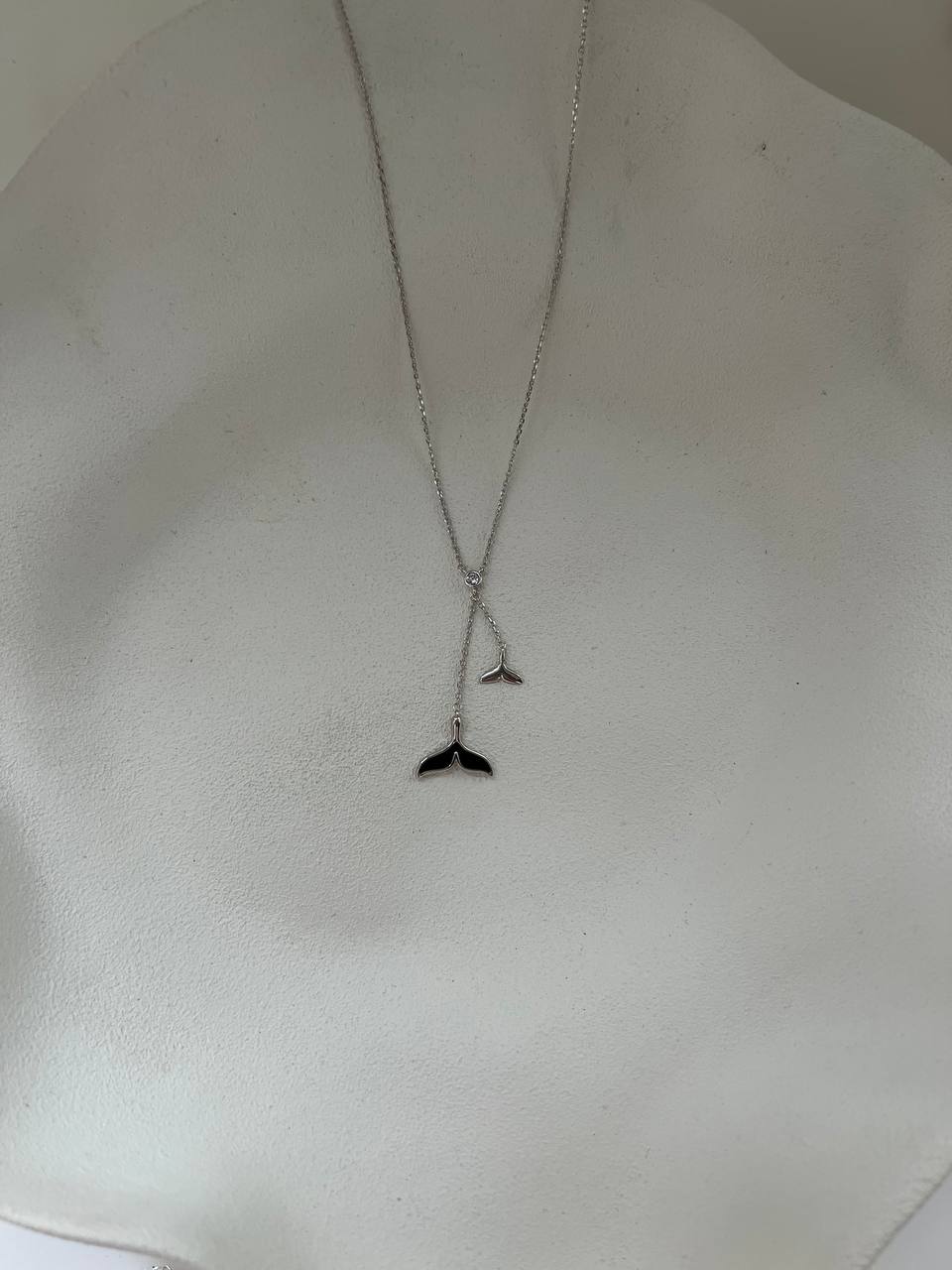 photo_20_2025-11-21_15-07-07