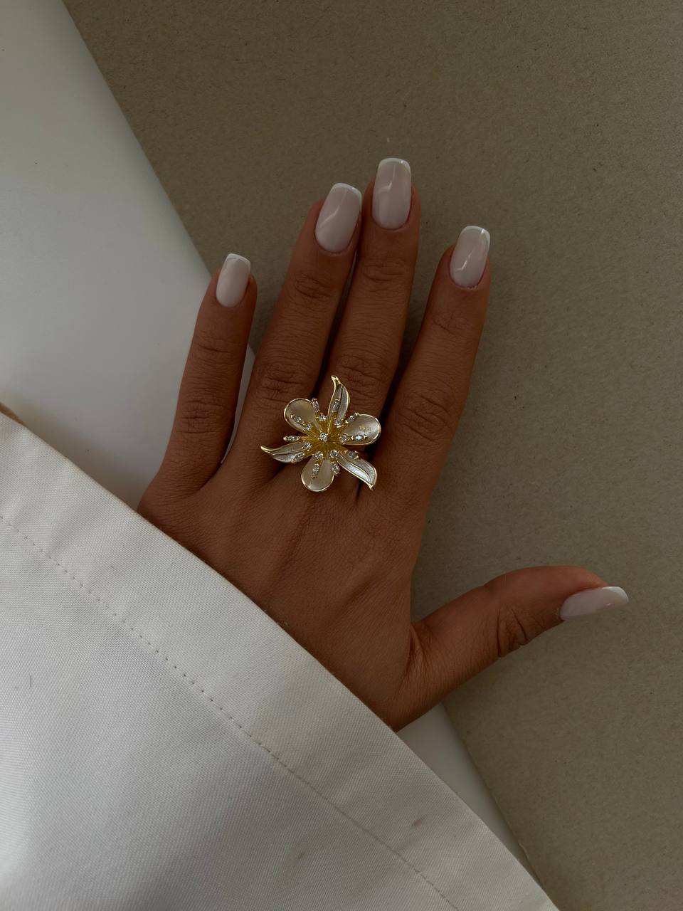 photo_29_2025-11-23_14-32-30